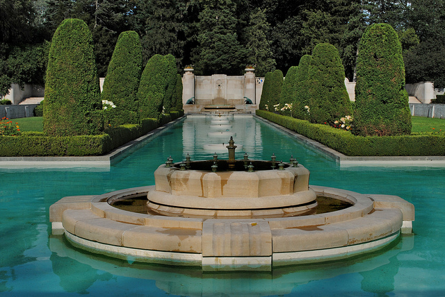 Watering Cedar Trees
