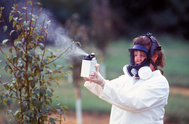 When It is Time to Spray Trees