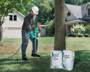 Why It’s Best to Contact Us for Spring Root Tree Fertilizing in Toronto