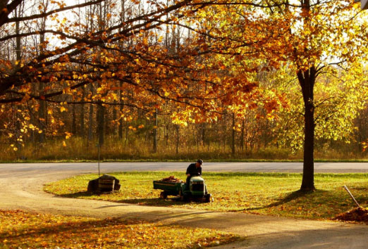 Why You Need Fall Cleanup Services in Toronto