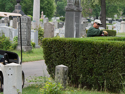 Why You Should Ask Professionals to Trim Your Shrubs