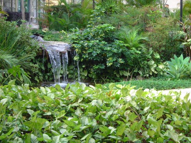 commercial tree removal